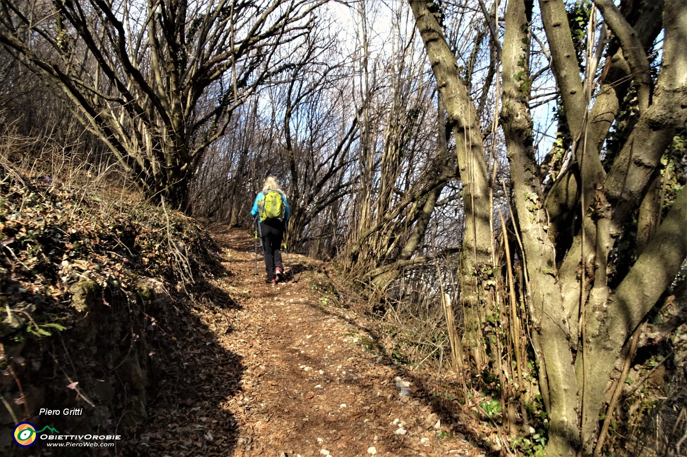 37 Salendo nel bosco.JPG